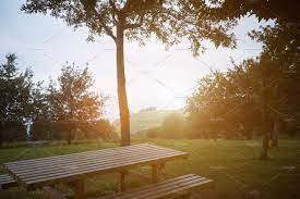 Outdoor Furniture