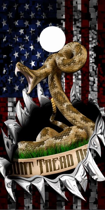 Don't Thread on Me Ripped Flag Direct Print Cornhole Board Set